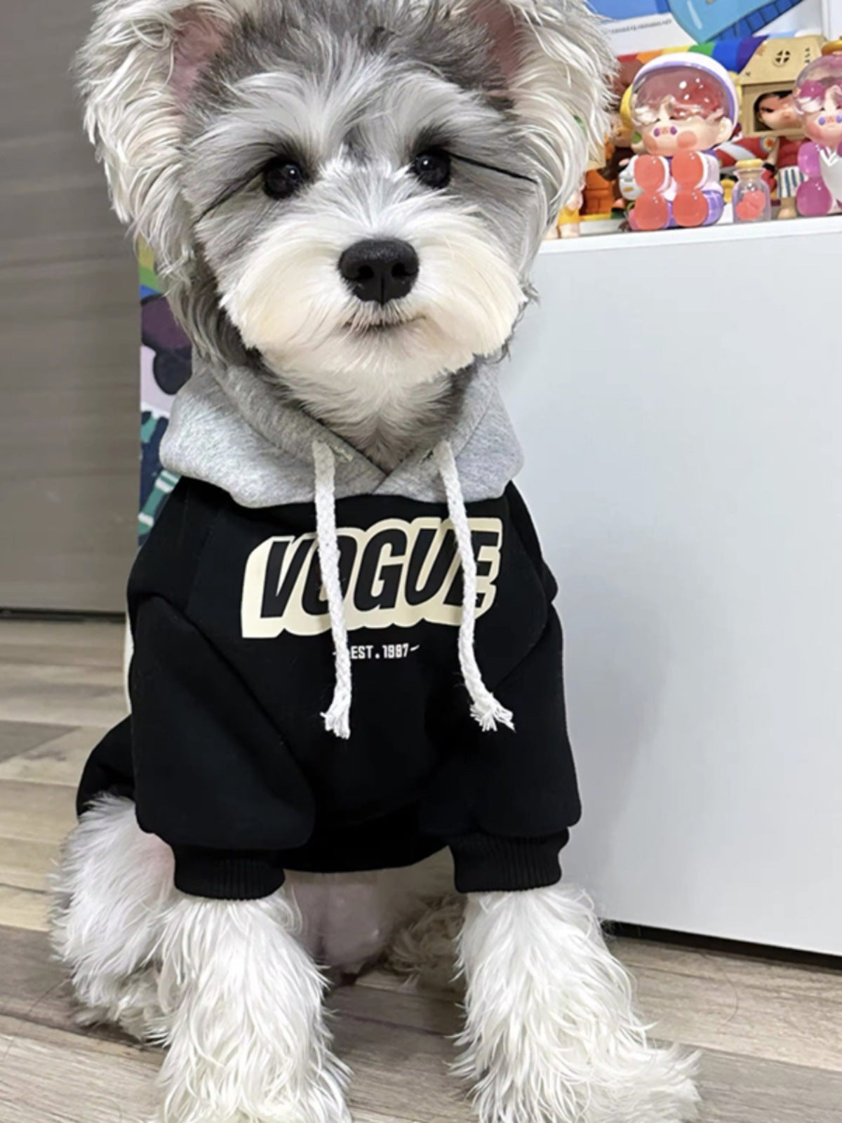 Hooded Pet Sweatshirt for Dogs and Cats