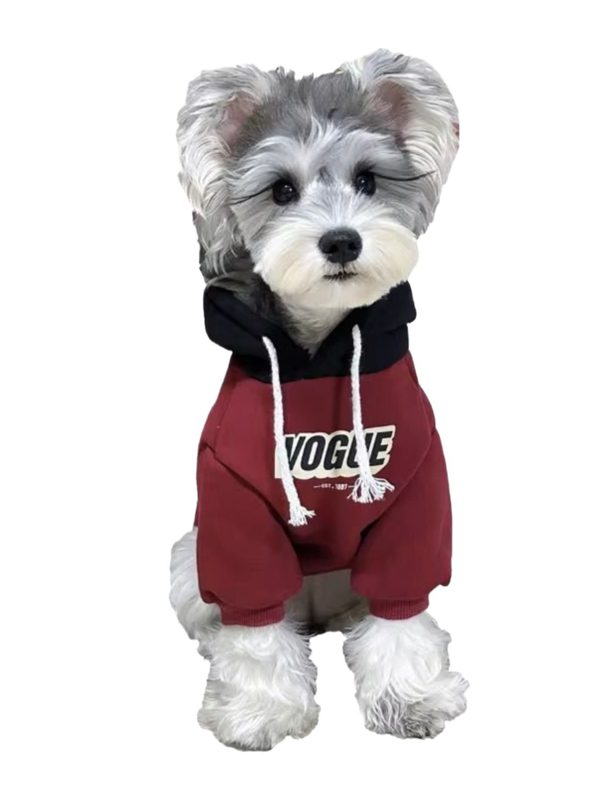 Hooded Pet Sweatshirt for Dogs and Cats