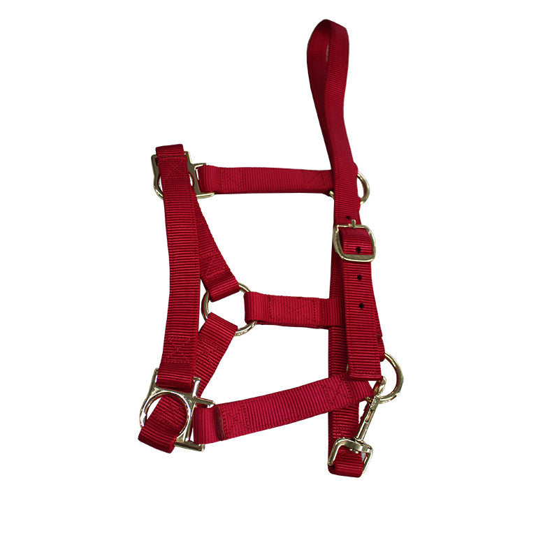 Horse Bridle Headstall