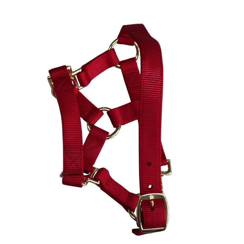Horse Bridle Headstall
