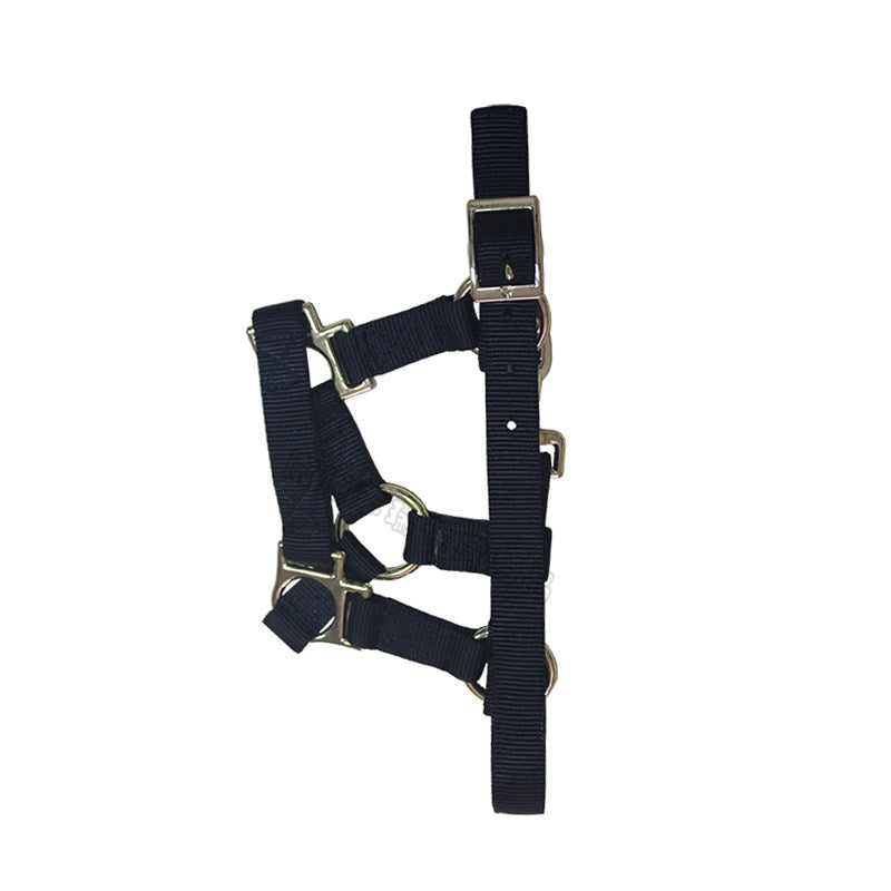 Horse Bridle Headstall