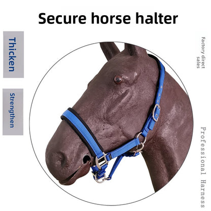 Horse Bridle Headstall