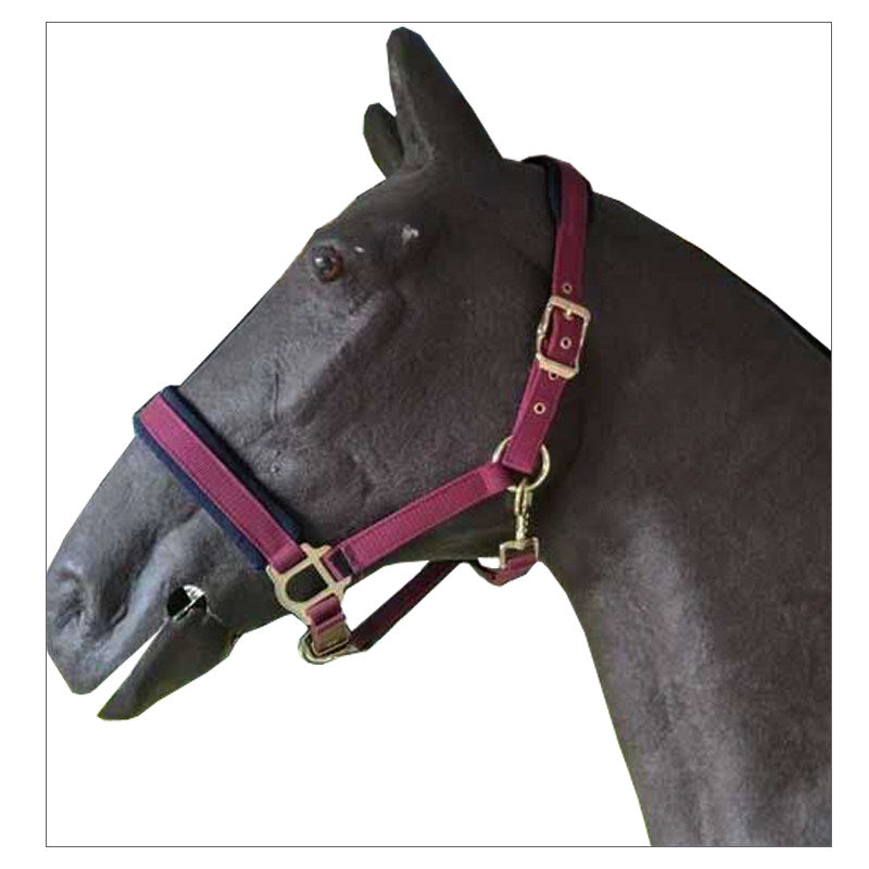 Horse Bridle Headstall