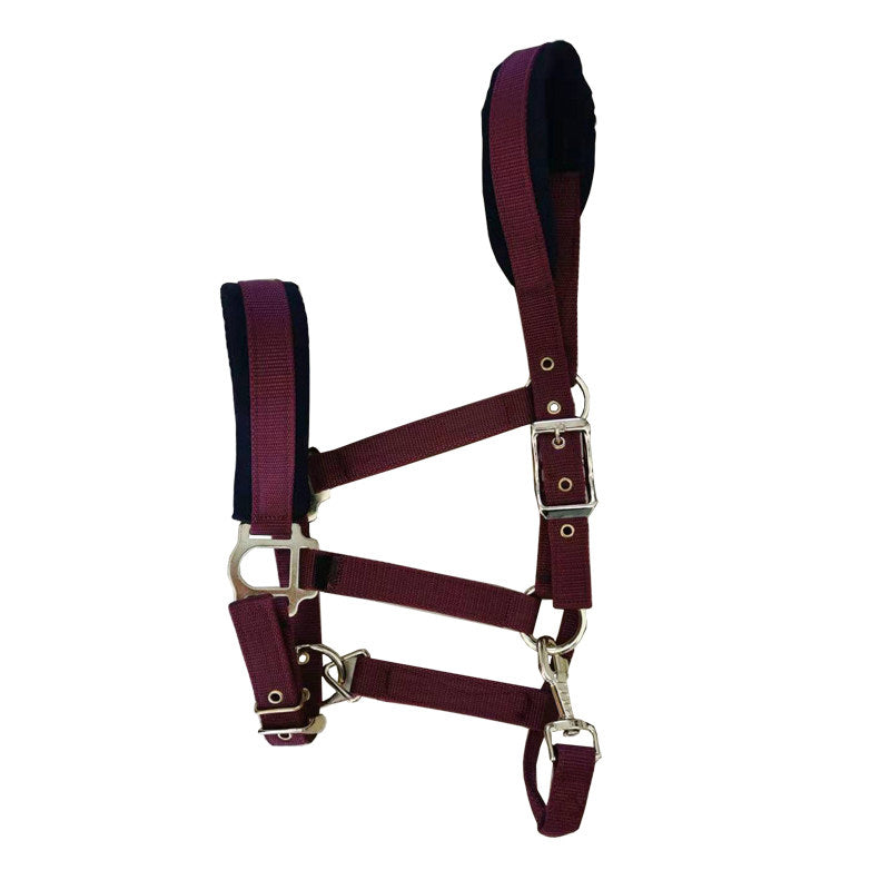 Horse Bridle Headstall