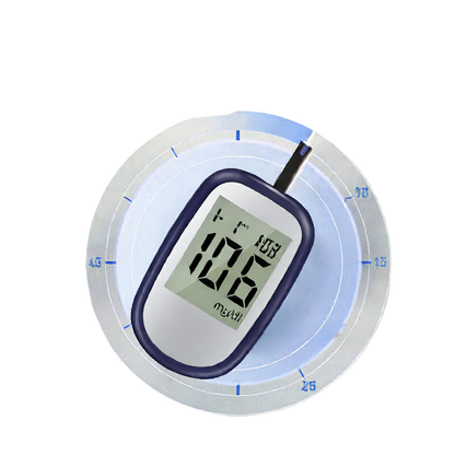 Household Blood Glucose Meter