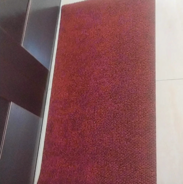 Household door MATS for entering the door