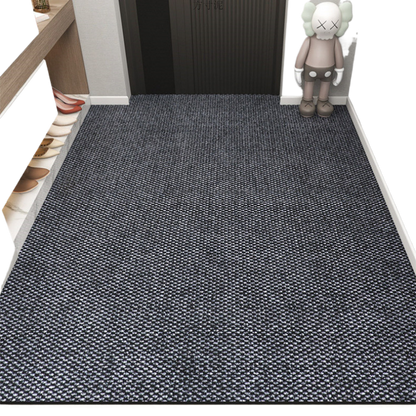 Household door MATS for entering the door