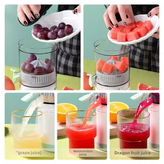 Household electric juicer