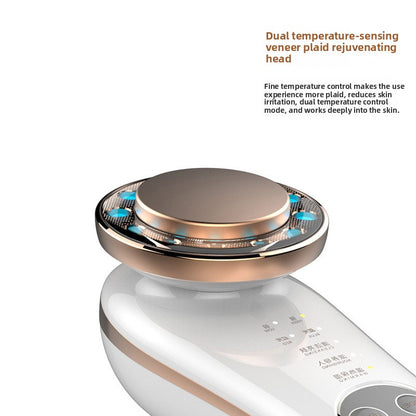 Household Facial Introduction Device