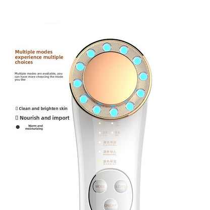 Household Facial Introduction Device