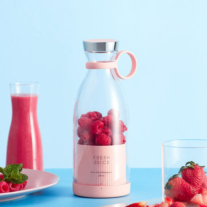Household Fruit Juicer