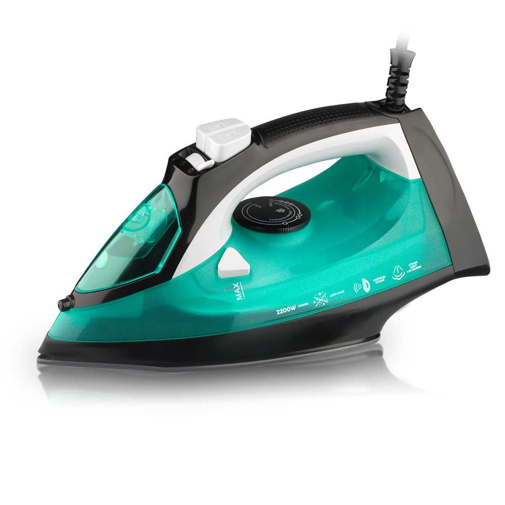 Household Steam Iron Dry and Wet Dual Use