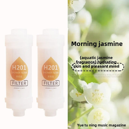 Household water purifier shower bath