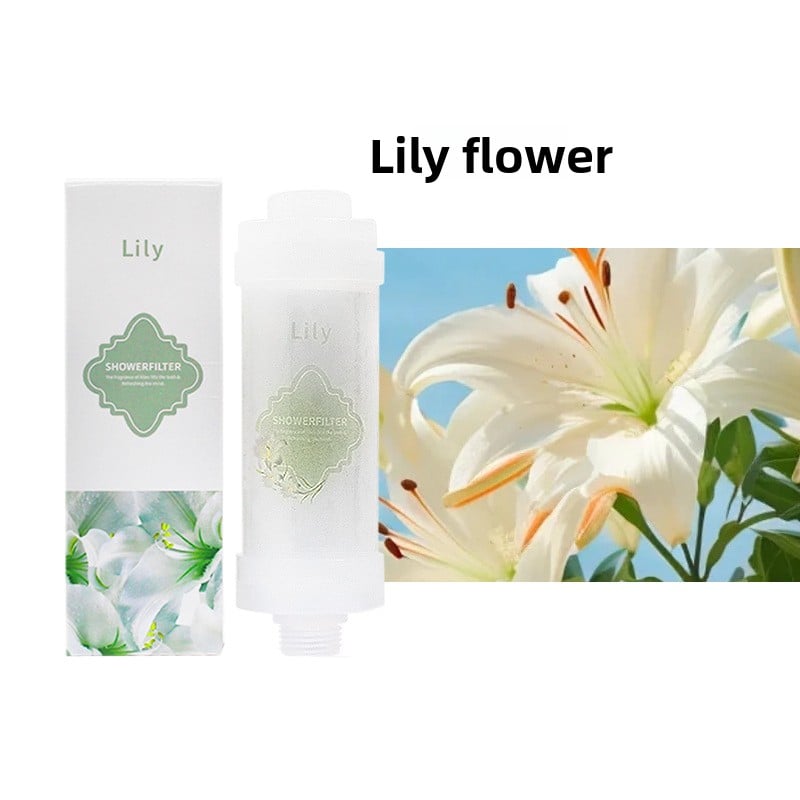 Household water purifier shower bath