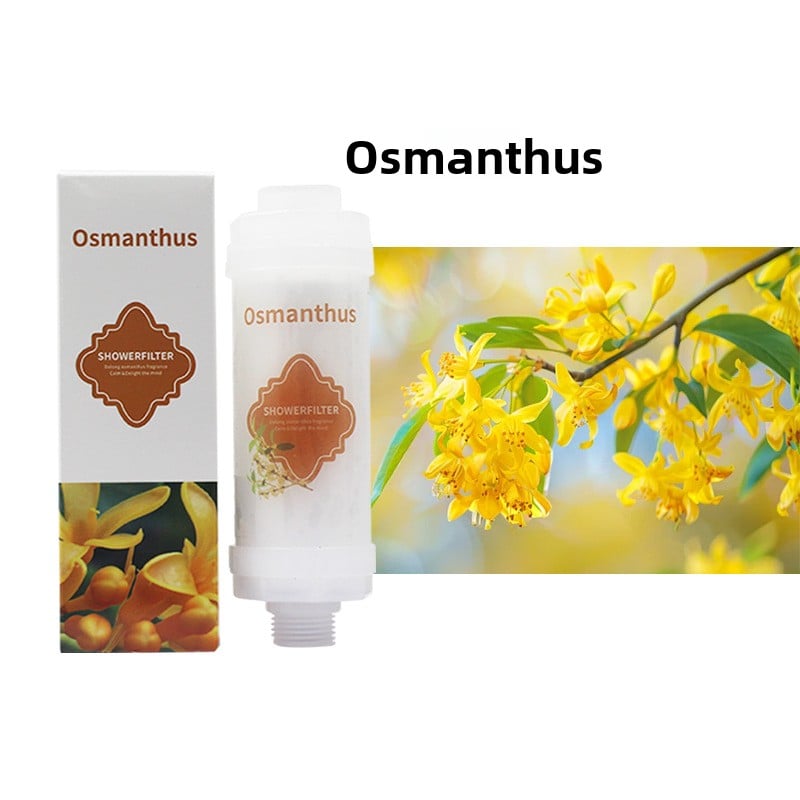 Household water purifier shower bath