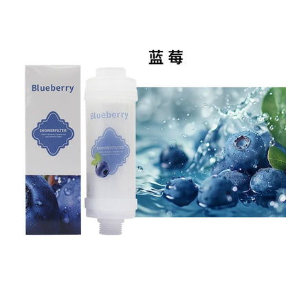 Household water purifier shower bath