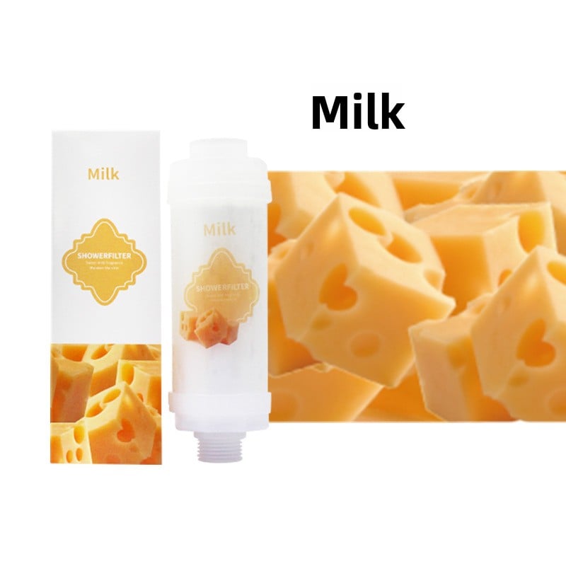 Household water purifier shower bath