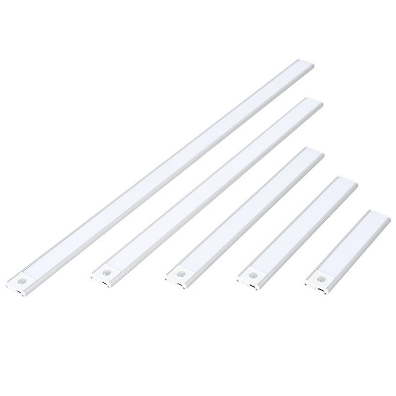 Human body induction LED light