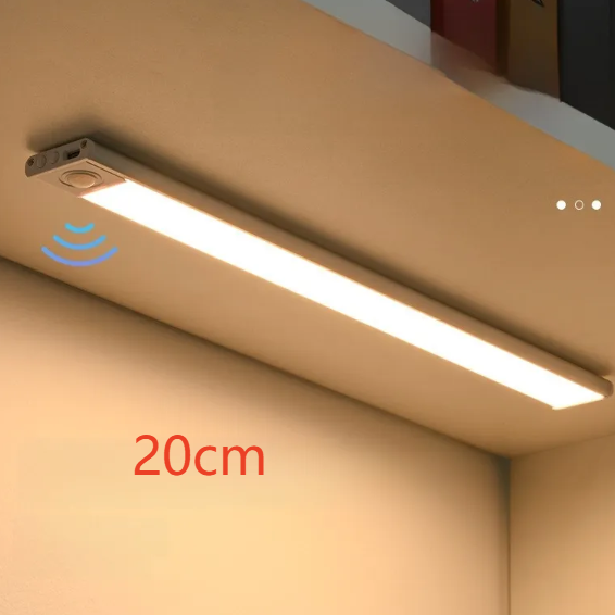 Human body induction LED light