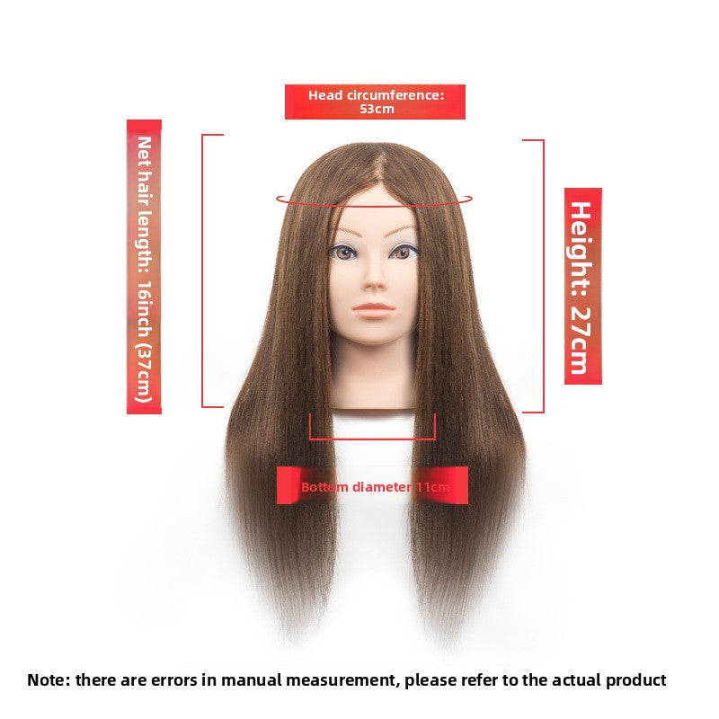 Human Hair Styling Mannequin Head with Shoulder