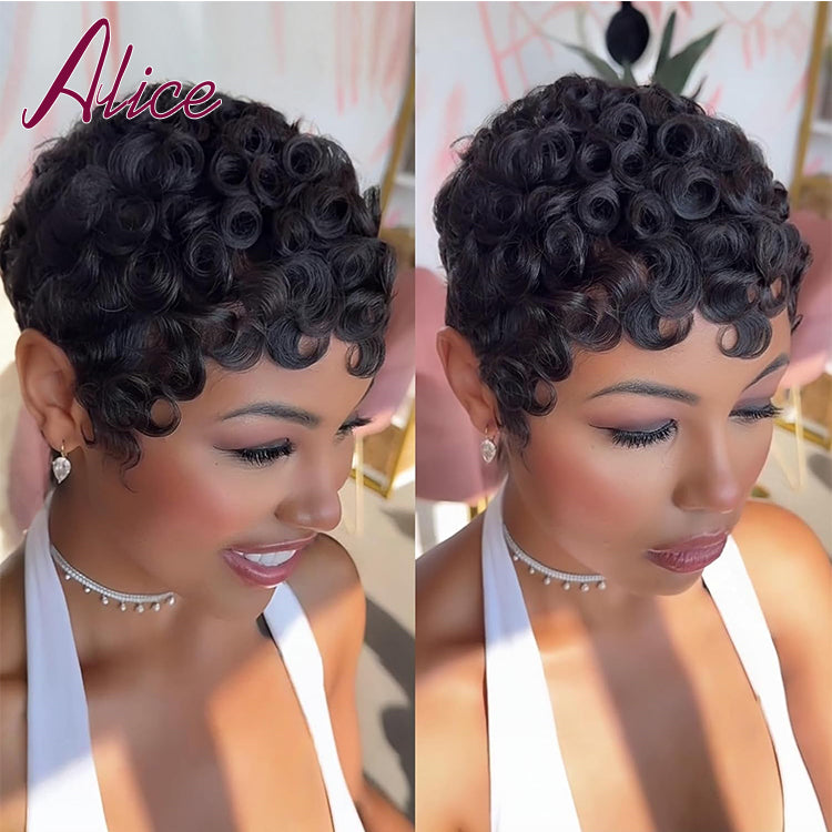 Human Hair Wig
