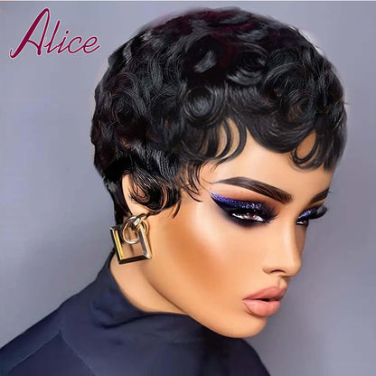 Human Hair Wig