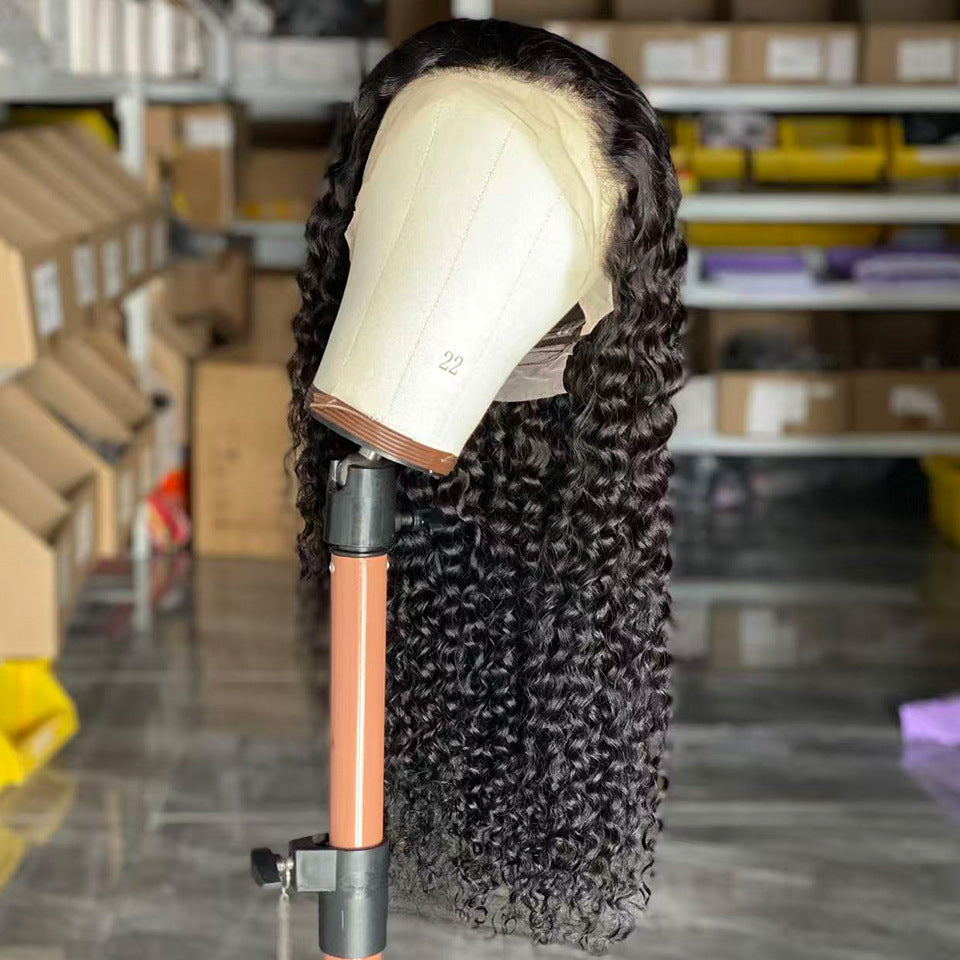 Human Hair Wig