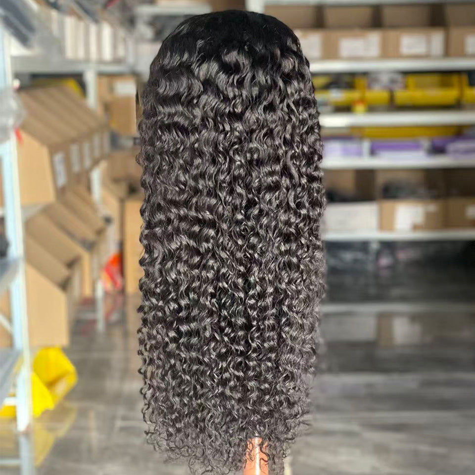 Human Hair Wig