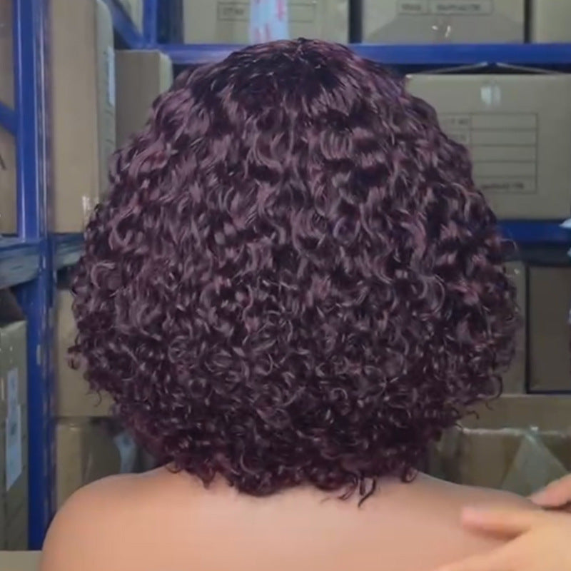 Human Hair Wig
