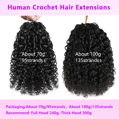 Human Hair Wig
