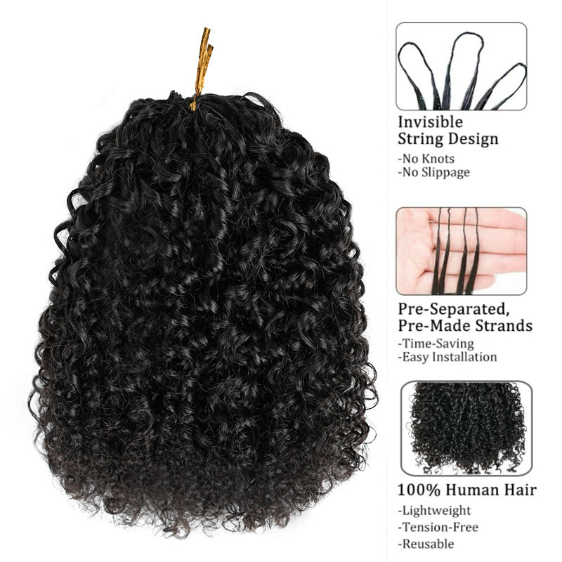 Human Hair Wig