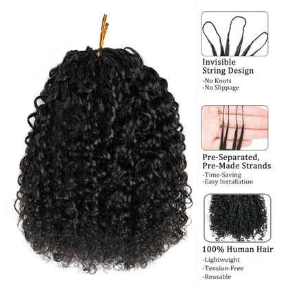 Human Hair Wig