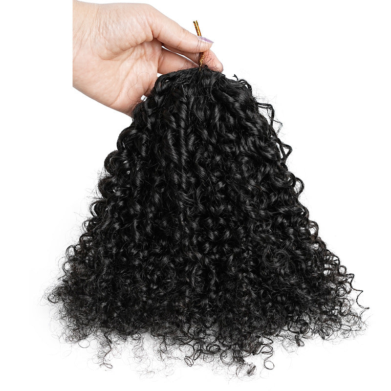 Human Hair Wig