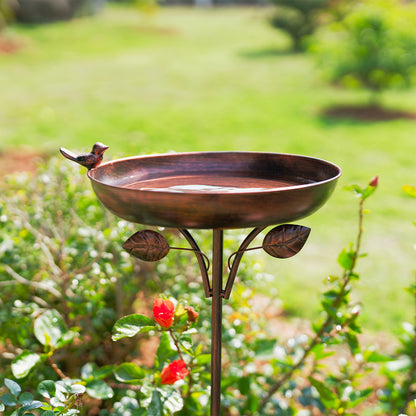Hummingbird feeder