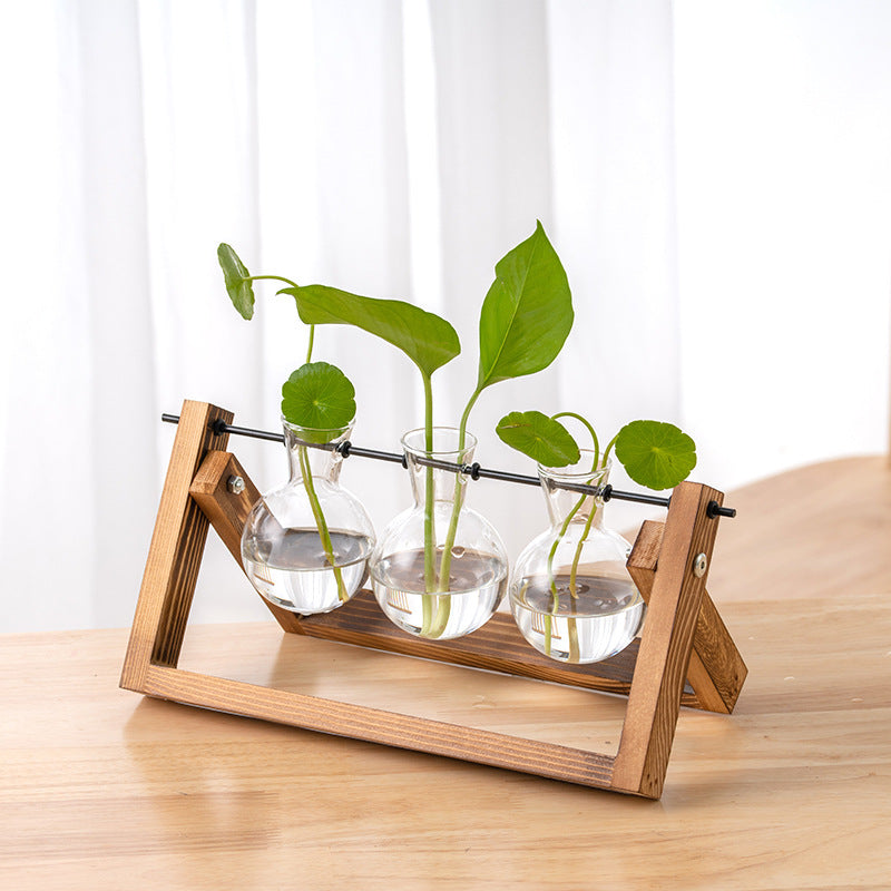 Hydroponic Glass Vase