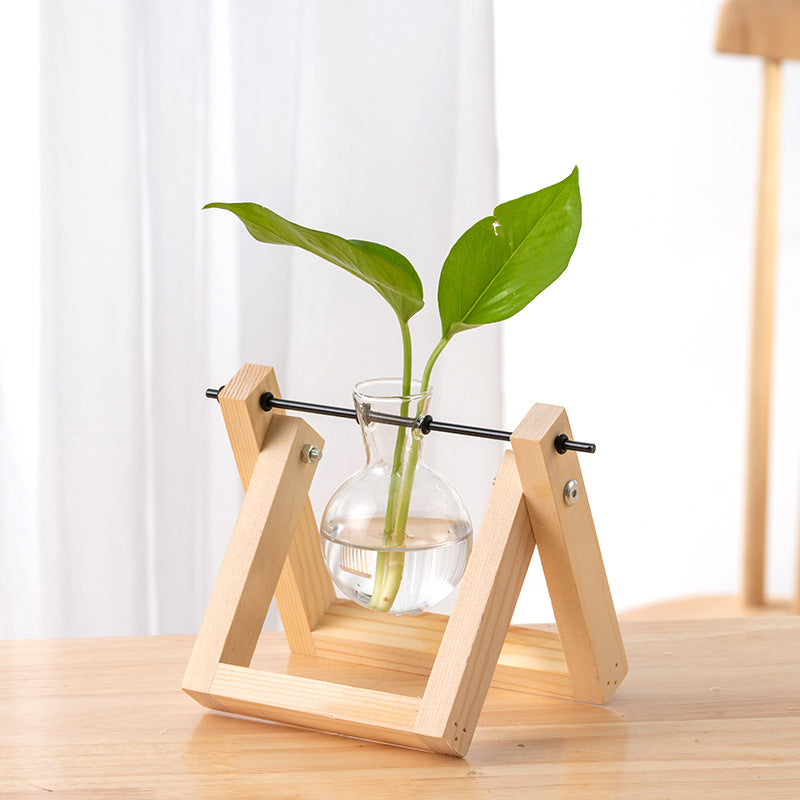 Hydroponic Glass Vase