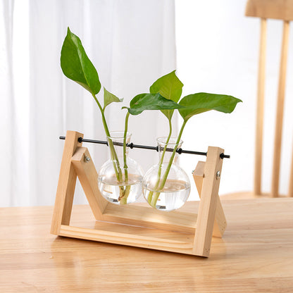 Hydroponic Glass Vase