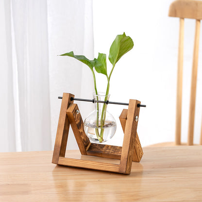 Hydroponic Glass Vase