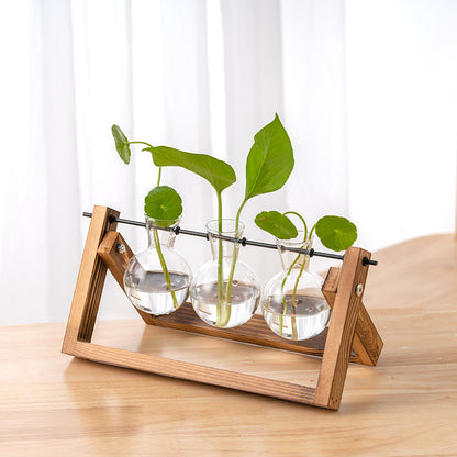 Hydroponic Glass Vase