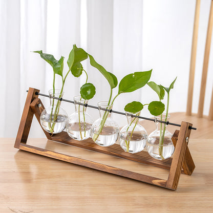 Hydroponic Glass Vase