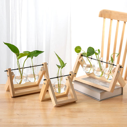 Hydroponic Glass Vase