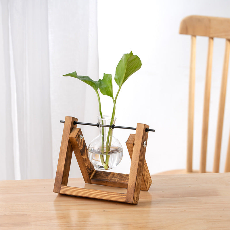 Hydroponic Glass Vase