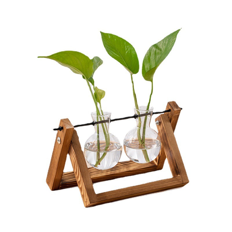 Hydroponic Glass Vase