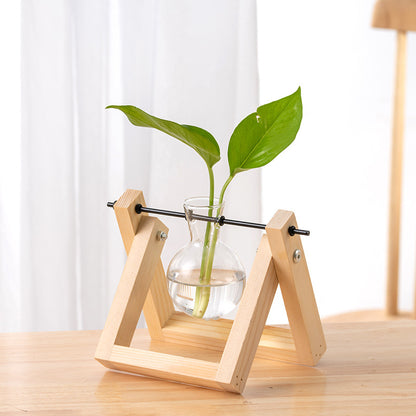 Hydroponic Glass Vase