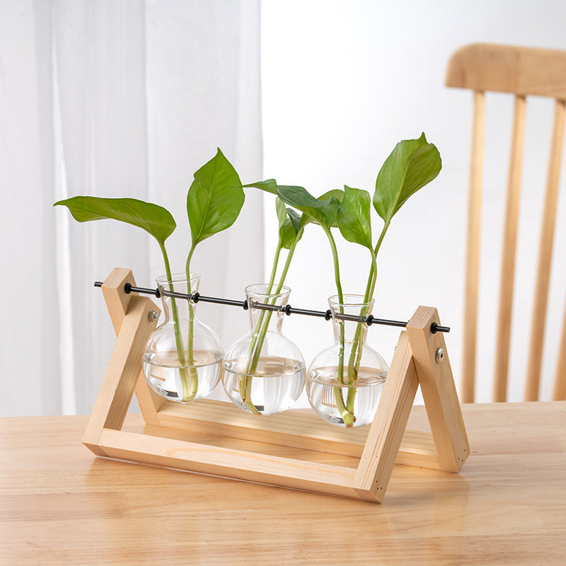 Hydroponic Glass Vase