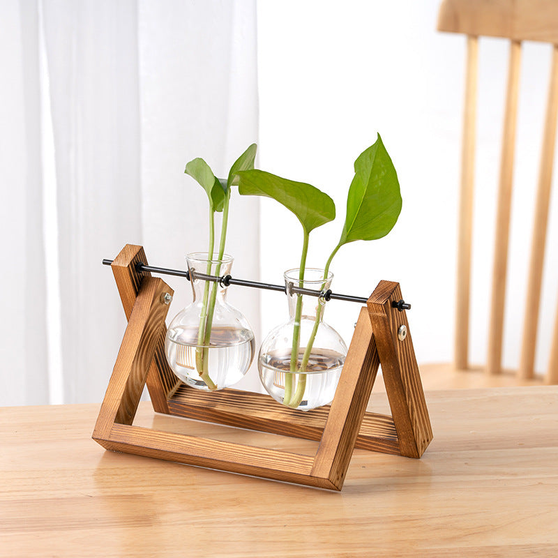 Hydroponic Glass Vase