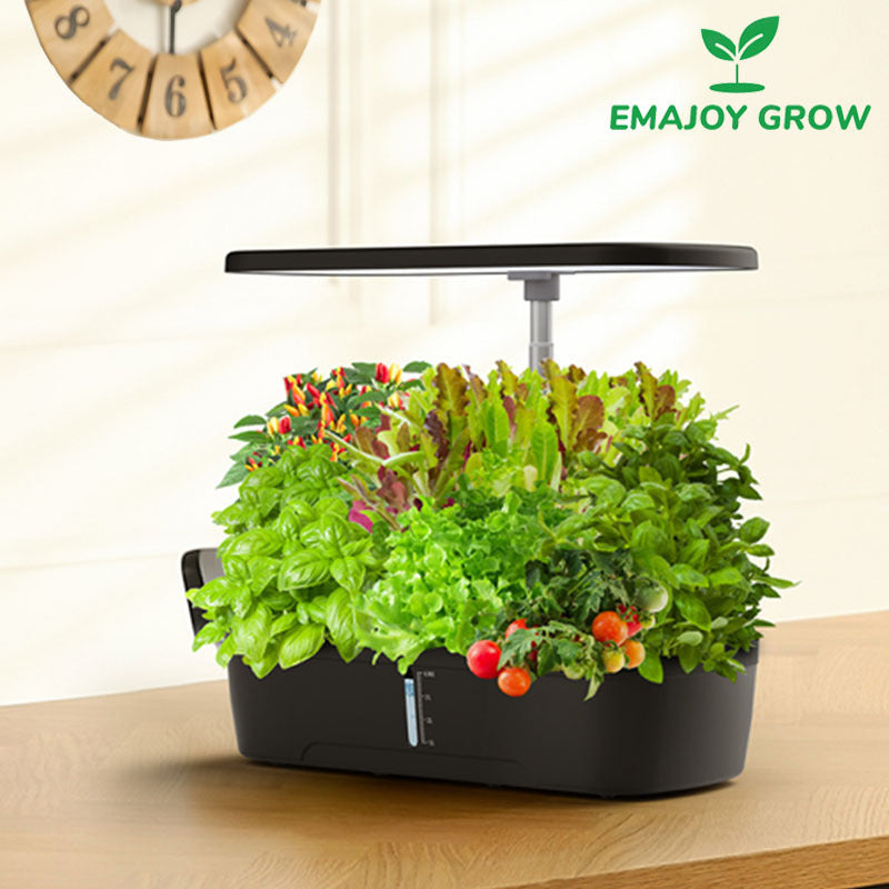 Hydroponic Growing Machine