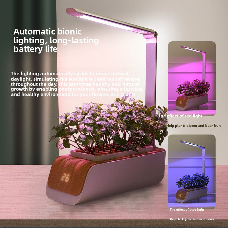 Hydroponic Growing System