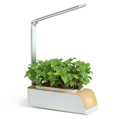 Hydroponic Growing System