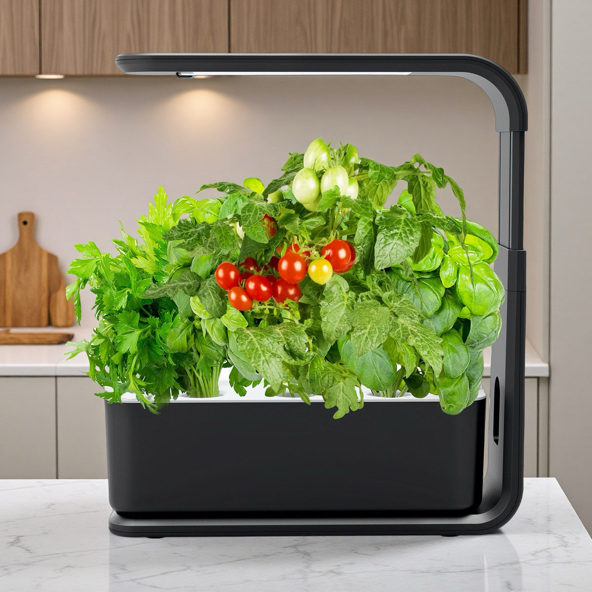 Hydroponic Growing System